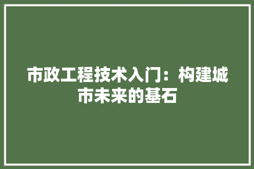 市政工程技术入门：构建城市未来的基石 中式风格装饰