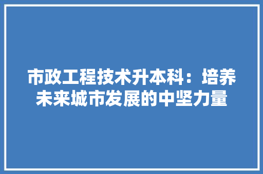 市政工程技术升本科：培养未来城市发展的中坚力量 中式风格装饰