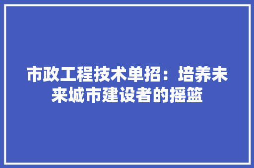 市政工程技术单招：培养未来城市建设者的摇篮 中式风格装饰
