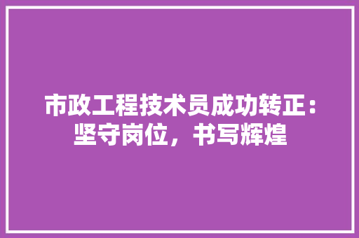 市政工程技术员成功转正：坚守岗位，书写辉煌 中式风格装饰