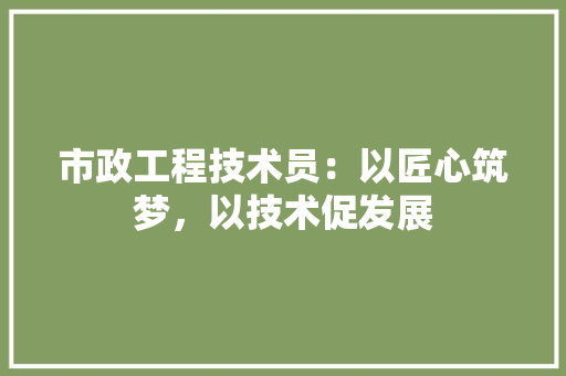 市政工程技术员：以匠心筑梦，以技术促发展