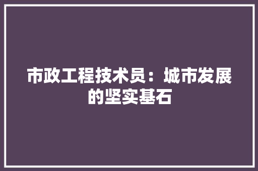 市政工程技术员：城市发展的坚实基石
