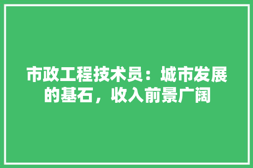 市政工程技术员：城市发展的基石，收入前景广阔 中式风格装饰