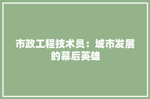 市政工程技术员：城市发展的幕后英雄