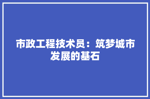 市政工程技术员：筑梦城市发展的基石 中式风格装饰