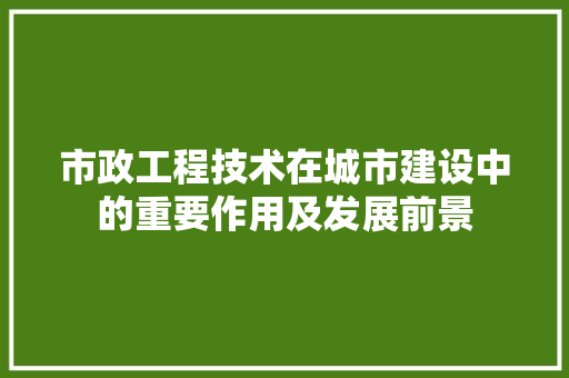 市政工程技术在城市建设中的重要作用及发展前景