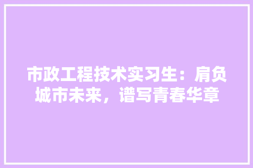 市政工程技术实习生：肩负城市未来，谱写青春华章 中式风格装饰