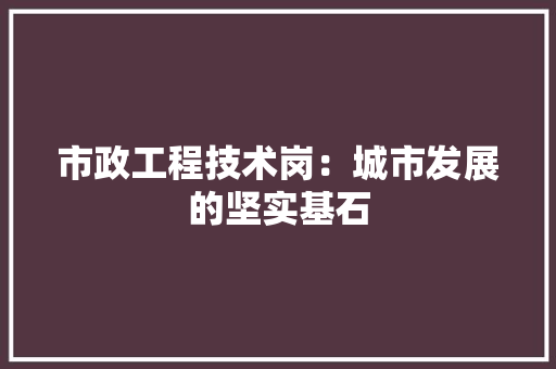 市政工程技术岗：城市发展的坚实基石 中式风格装饰