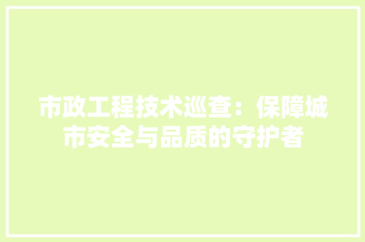 市政工程技术巡查：保障城市安全与品质的守护者 中式风格装饰