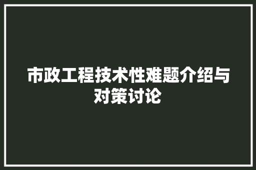 市政工程技术性难题介绍与对策讨论 中式风格装饰