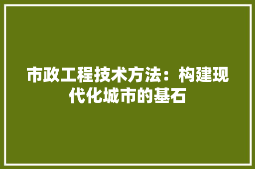 市政工程技术方法：构建现代化城市的基石 中式风格装饰