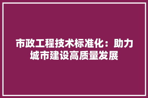 市政工程技术标准化：助力城市建设高质量发展 中式风格装饰