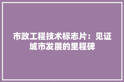 市政工程技术标志片：见证城市发展的里程碑 中式风格装饰