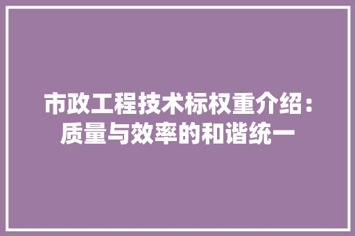 市政工程技术标权重介绍：质量与效率的和谐统一 中式风格装饰