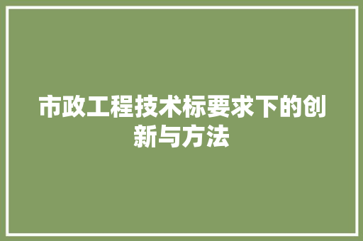 市政工程技术标要求下的创新与方法 中式风格装饰