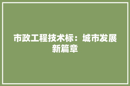 市政工程技术标：城市发展新篇章 中式风格装饰
