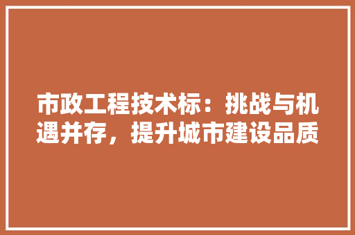 市政工程技术标：挑战与机遇并存，提升城市建设品质的必由之路 中式风格装饰