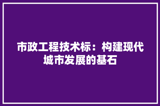 市政工程技术标：构建现代城市发展的基石 中式风格装饰