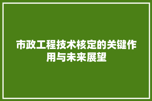 市政工程技术核定的关键作用与未来展望 中式风格装饰