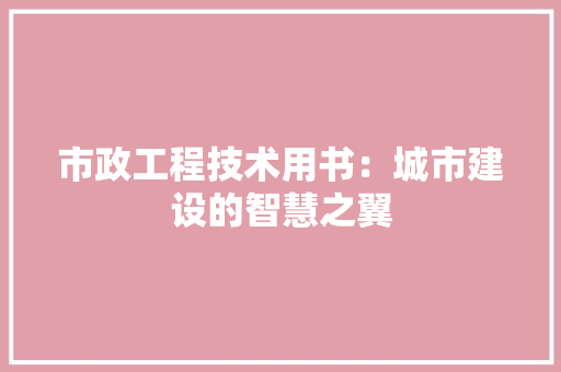 市政工程技术用书：城市建设的智慧之翼 中式风格装饰