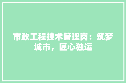市政工程技术管理岗：筑梦城市，匠心独运 中式风格装饰