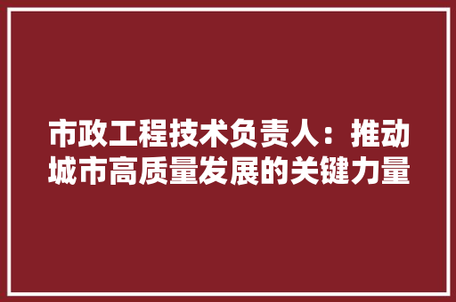 市政工程技术负责人：推动城市高质量发展的关键力量