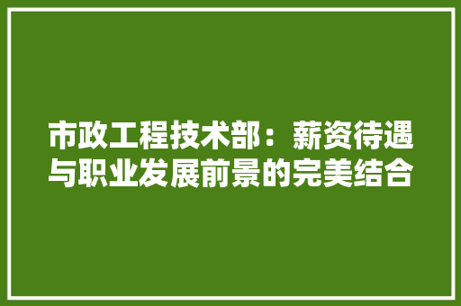 市政工程技术部：薪资待遇与职业发展前景的完美结合