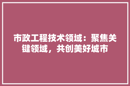 市政工程技术领域：聚焦关键领域，共创美好城市