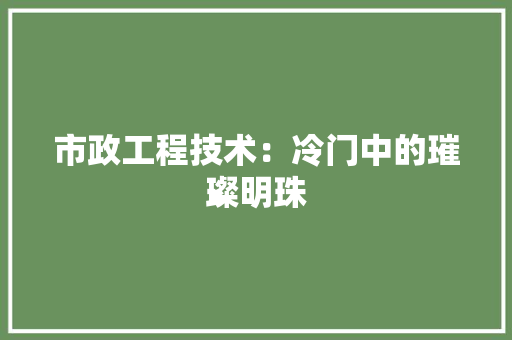 市政工程技术：冷门中的璀璨明珠 中式风格装饰