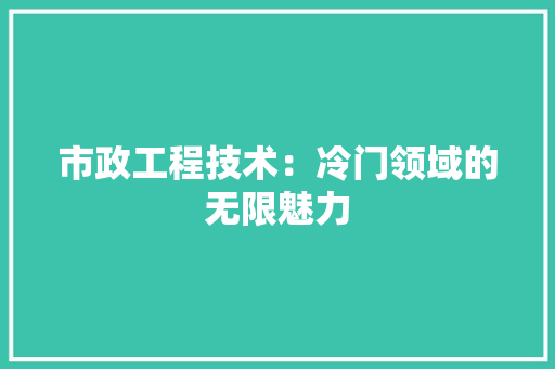 市政工程技术：冷门领域的无限魅力