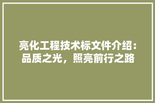 亮化工程技术标文件介绍：品质之光，照亮前行之路 家居装修