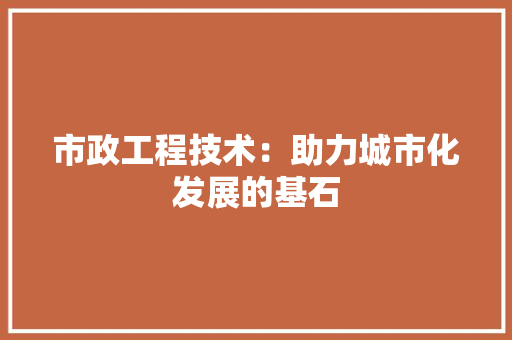 市政工程技术：助力城市化发展的基石 中式风格装饰