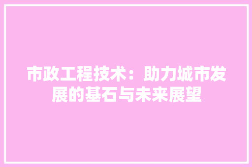 市政工程技术：助力城市发展的基石与未来展望 中式风格装饰