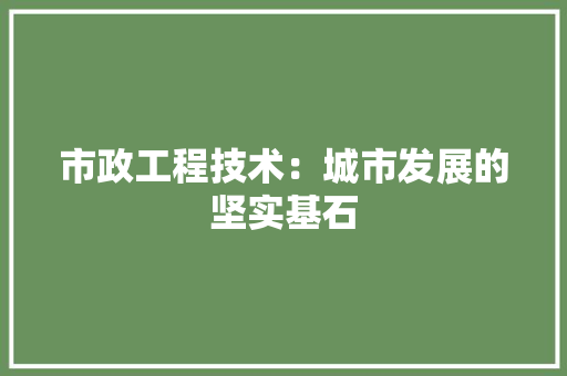 市政工程技术：城市发展的坚实基石 中式风格装饰