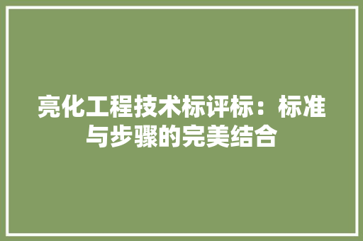 亮化工程技术标评标：标准与步骤的完美结合