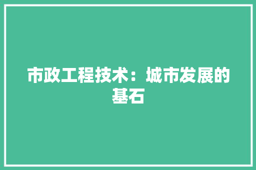 市政工程技术：城市发展的基石 中式风格装饰