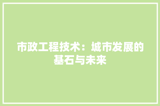 市政工程技术：城市发展的基石与未来 中式风格装饰