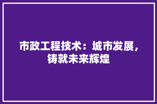 市政工程技术：城市发展，铸就未来辉煌 中式风格装饰