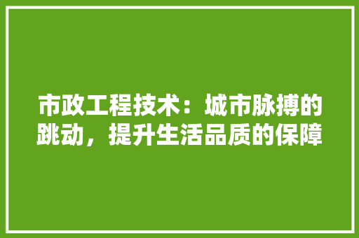 市政工程技术：城市脉搏的跳动，提升生活品质的保障 中式风格装饰