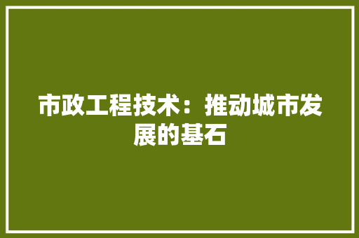 市政工程技术：推动城市发展的基石 中式风格装饰