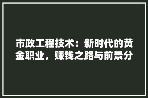 市政工程技术：新时代的黄金职业，赚钱之路与前景分析