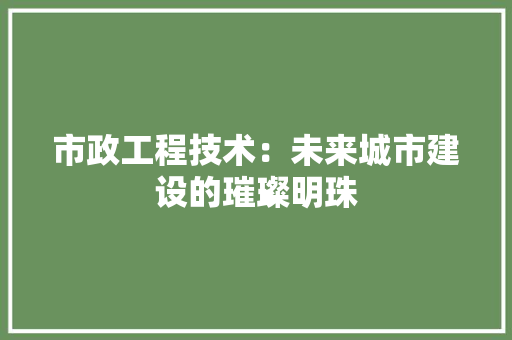 市政工程技术：未来城市建设的璀璨明珠