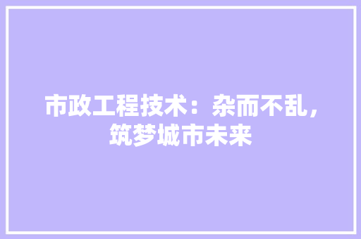 市政工程技术：杂而不乱，筑梦城市未来 中式风格装饰