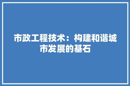 市政工程技术：构建和谐城市发展的基石 中式风格装饰