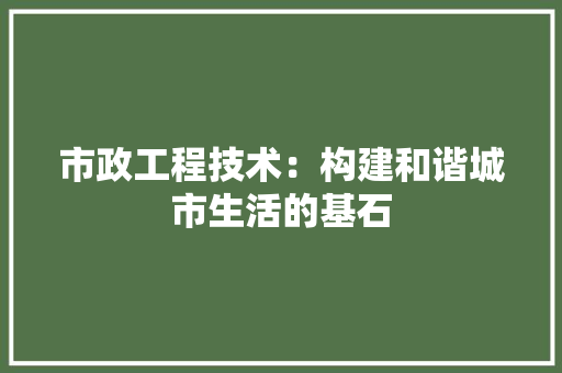 市政工程技术：构建和谐城市生活的基石 中式风格装饰