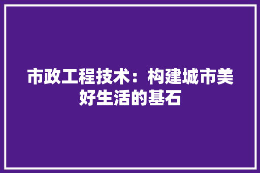 市政工程技术：构建城市美好生活的基石 中式风格装饰