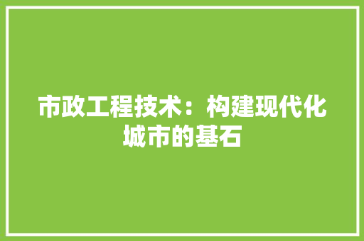 市政工程技术：构建现代化城市的基石