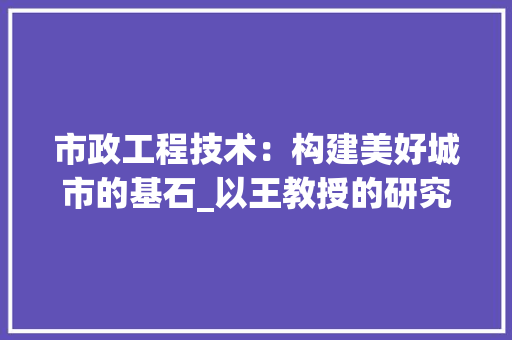 市政工程技术：构建美好城市的基石_以王教授的研究为例 中式风格装饰