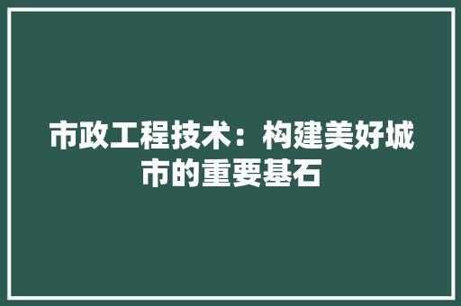 市政工程技术：构建美好城市的重要基石 中式风格装饰
