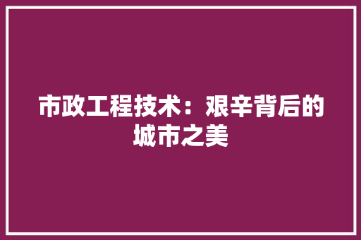 市政工程技术：艰辛背后的城市之美 中式风格装饰